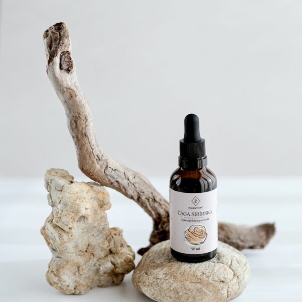 Siberian Chaga - Tincture
