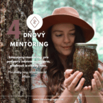 Deep Mentoring | Session Package