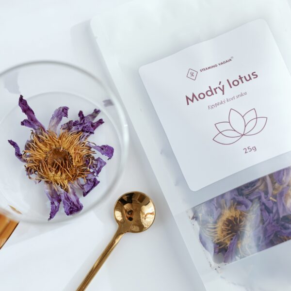 Steamingvagaia January 2026-11